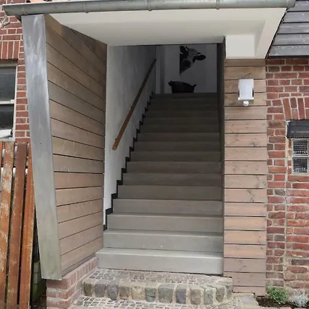 Palmen Apartment